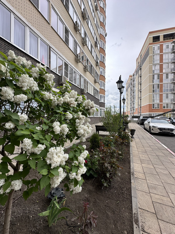 студия на Дунаевского переулок
, 35 кв метров в Ростове на Дону - фото 5